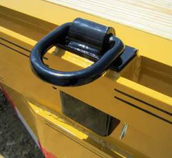 3" Removable D-Rings (each)